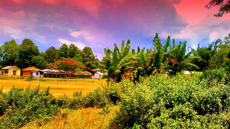 sitio a venda em minas gerais