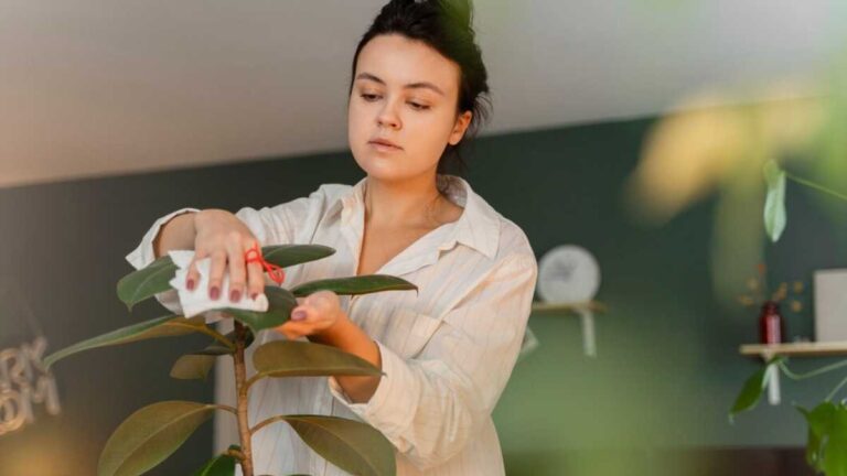 Como fortalecer suas plantas e garantir um jardim mais saudável