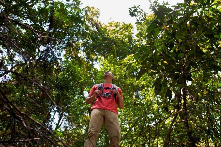 Os melhores destinos de ecoturismo no litoral brasileiro