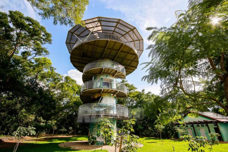 Parque Mãe Bonifácia: refúgio no coração de Cuiabá Parque Mãe Bonifácia: refúgio no coração de Cuiabá