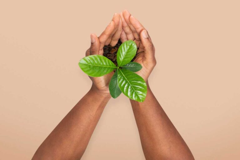 Sustentabilidade no Dia a Dia e nos Investimentos: Estratégias para um Futuro Melhor Sustentabilidade no Dia a Dia e nos Investimentos: Estratégias para um Futuro Melhor