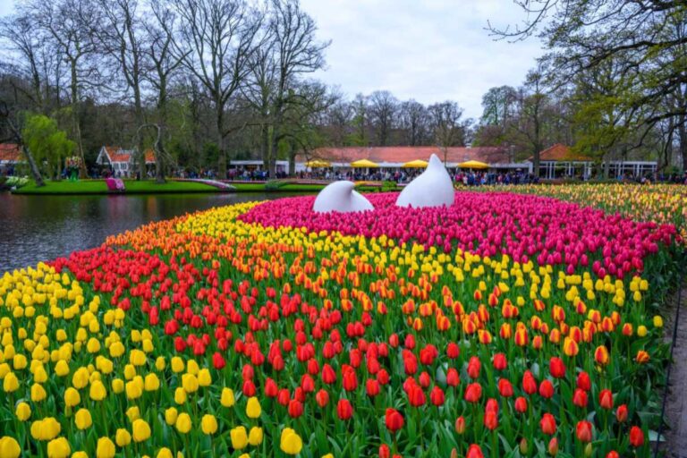 Keukenhof além das tulipas: por que a experiência muda quando o passeio é exclusivo Keukenhof além das tulipas: por que a experiência muda quando o passeio é exclusivo